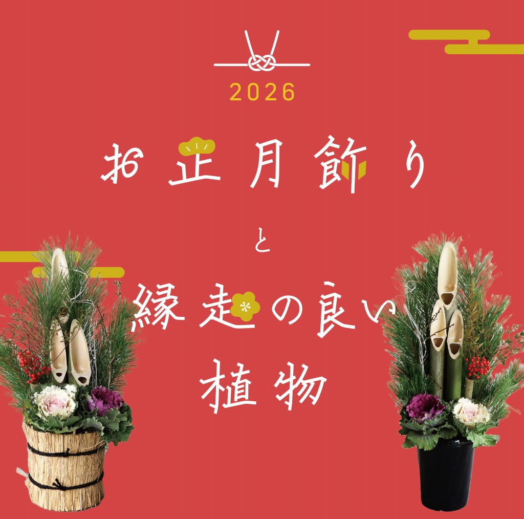 お正月・縁起物特集