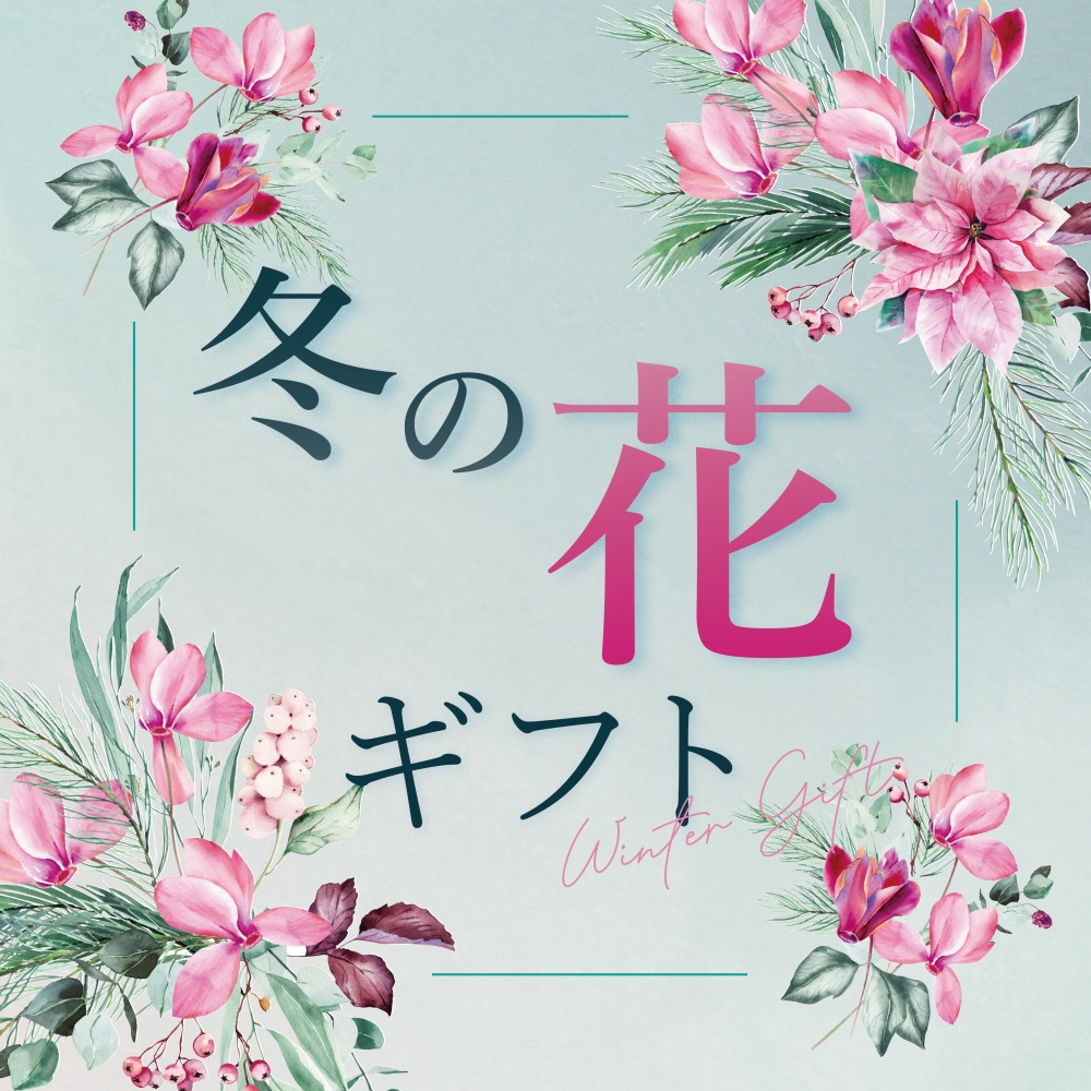 冬の鉢花ギフト特集