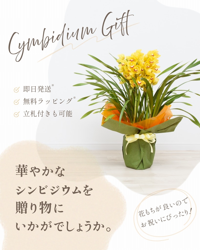 無料ラッピングについて